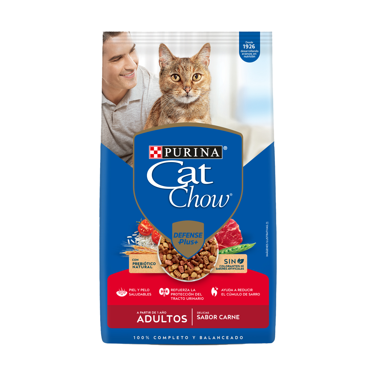 Cat Chow Carne 19,5kg