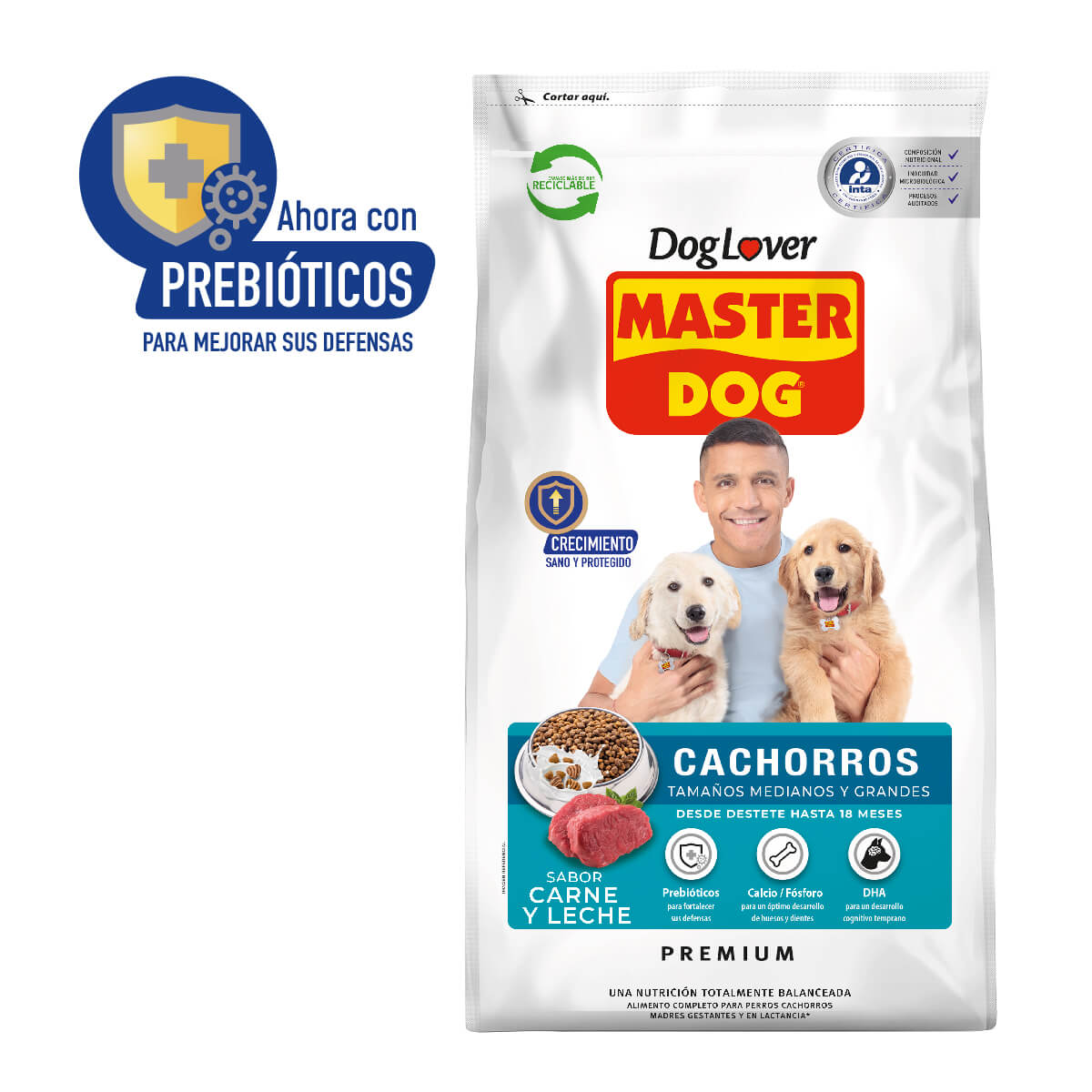 Master Dog - Imagen 4