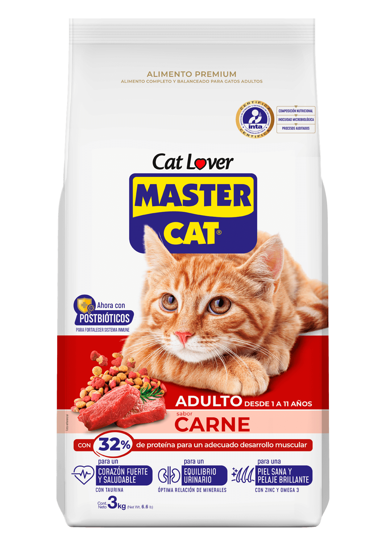 Master Cat