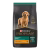 Cachorro Raza Mediana
